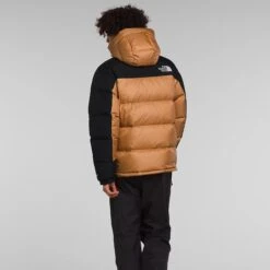 The North Face Mens HMLYN Down Parka -Air Jordan Shop NF0A4QYXKOM 2