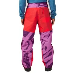 The North Face XX Kaws Mens Mountain Light Pants 'Pamplona Purple Mountain Light Print' -Air Jordan Shop NF0A7WLS76G 3