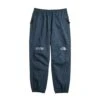 The North Face Mens GTX Mountain Pants
